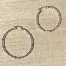 Load image into Gallery viewer, Silvia