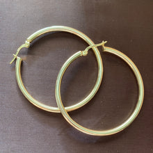 Load image into Gallery viewer, Silvia